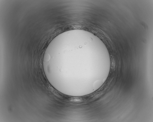 X0000113160610200909040954