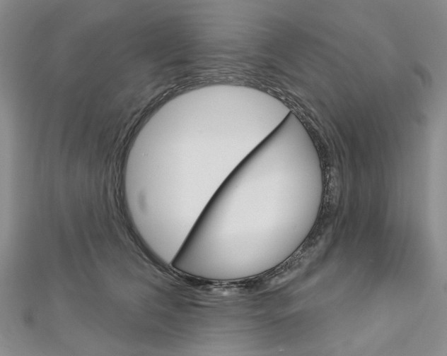X0000113160612200909040954