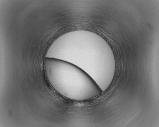 X0000113160613200909040954