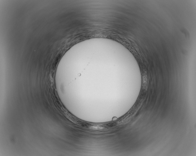 X0000113160614200909040954