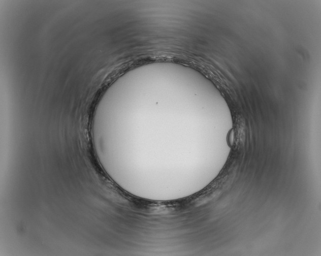 X0000113160616200909040954