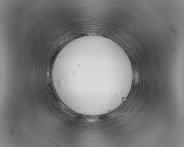 X0000113160618200909040954