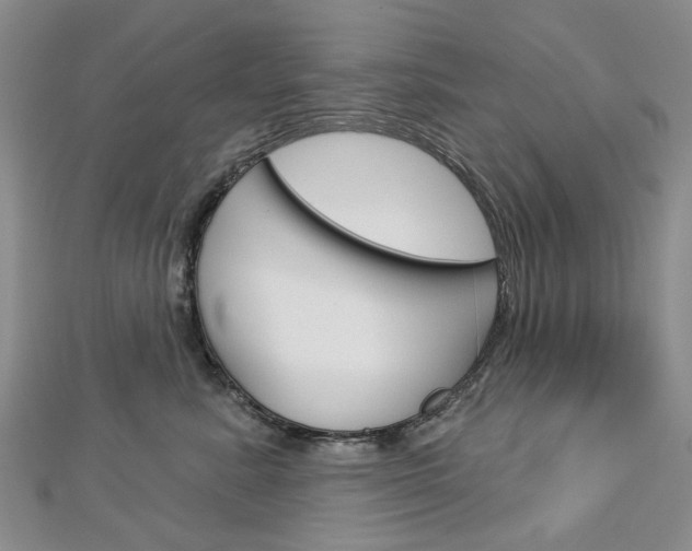 X0000113160619200909040954