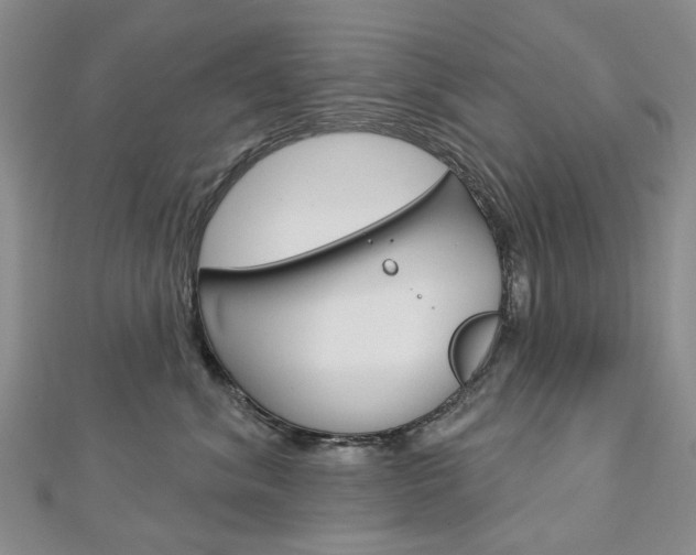 X0000113160620200909040954
