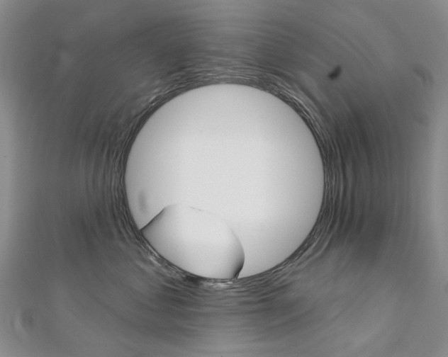 X0000113160621200909040954