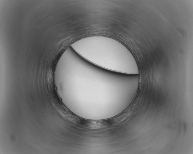 X0000113160623200909040954