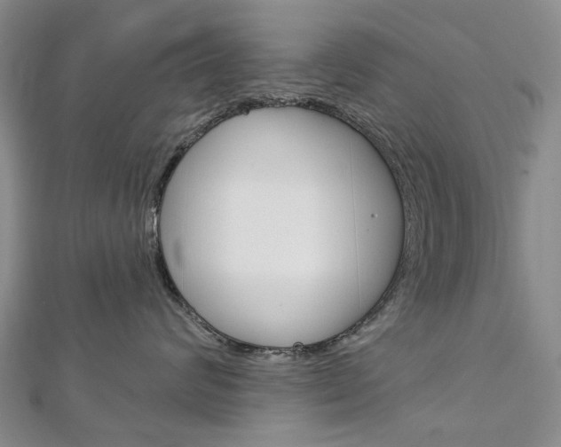 X0000113160624200909040954