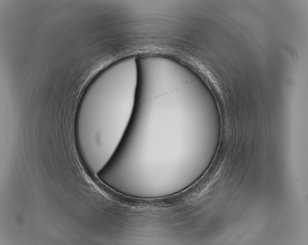 X0000113160625200909040953