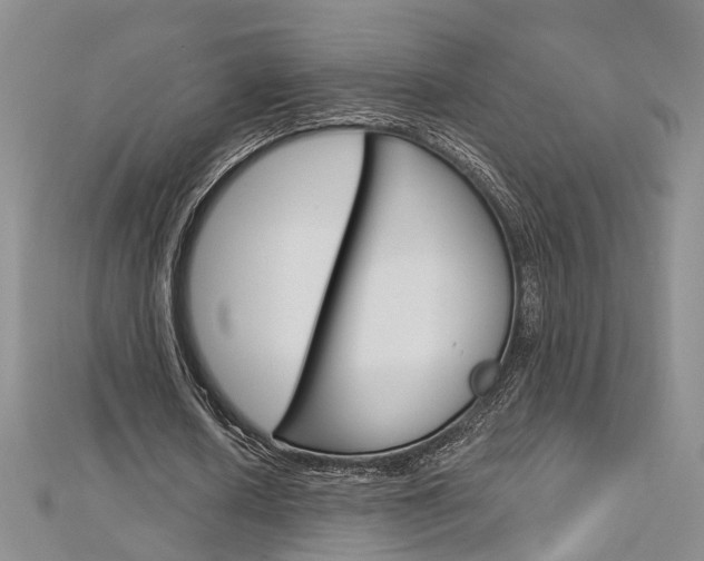 X0000113160626200909040953