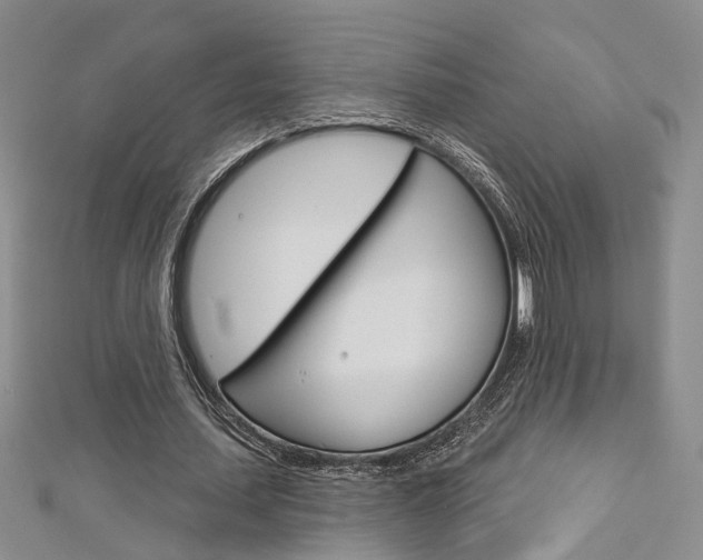 X0000113160627200909040953