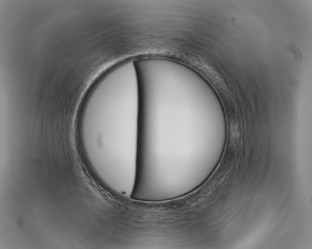 X0000113160628200909040953