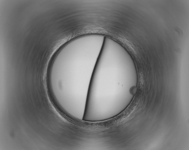 X0000113160630200909040953