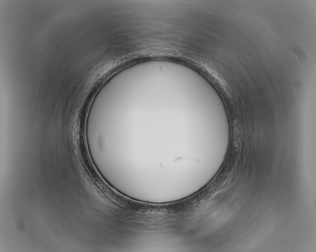 X0000113160631200909040953