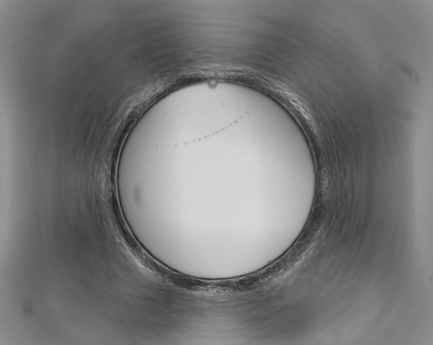 X0000113160633200909040953