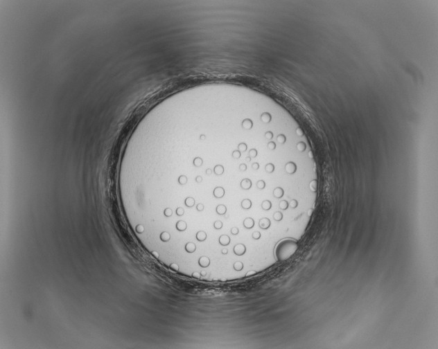 X0000113160635200909040954