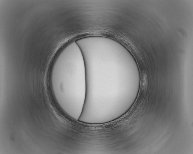 X0000113160636200909040954