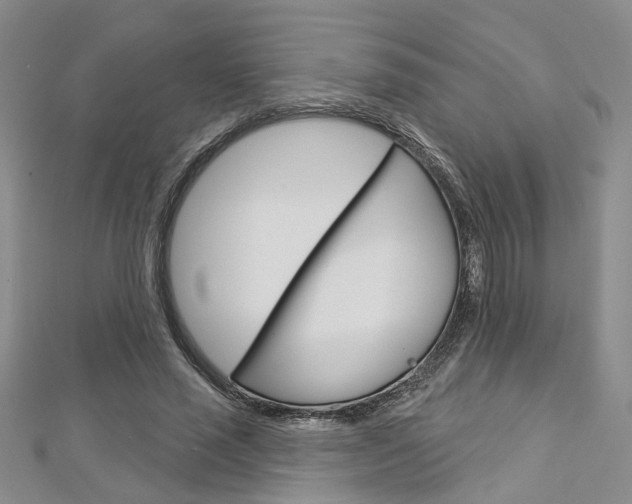X0000113160637200909040954