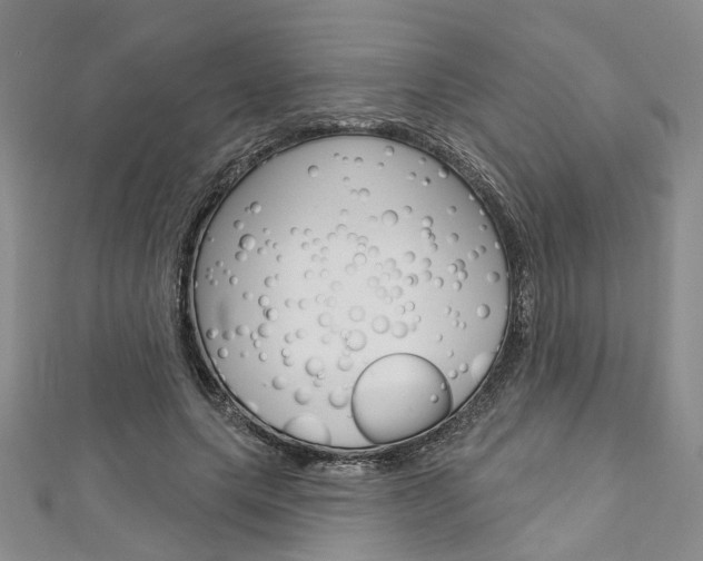 X0000113160639200909040954