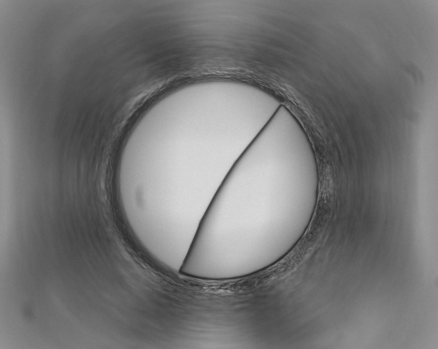 X0000113160640200909040954