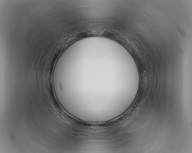 X0000113160641200909040954