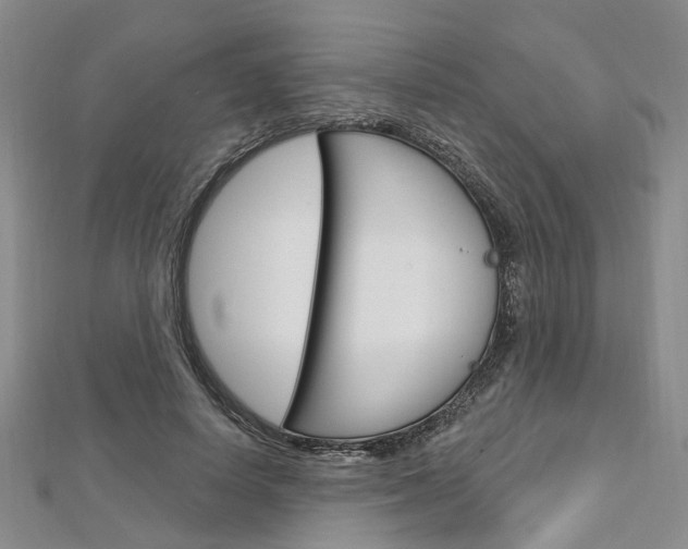 X0000113160642200909040954