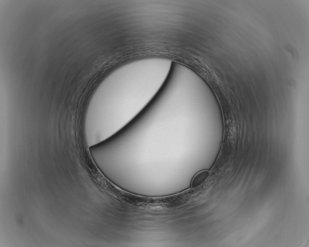 X0000113160643200909040954