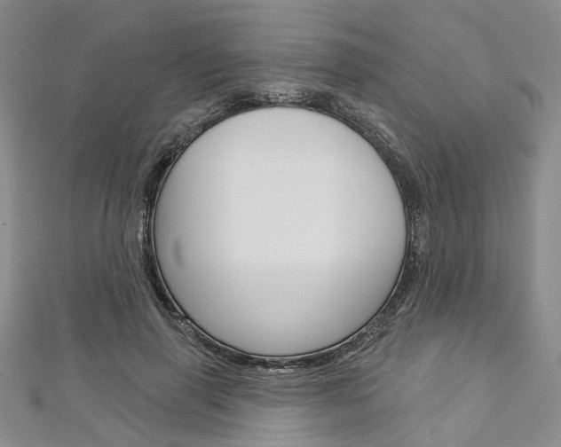 X0000113160645200909040954