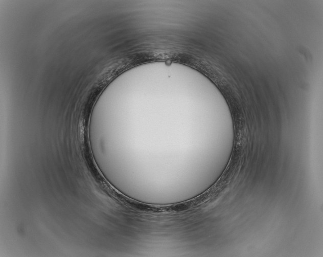 X0000113160646200909040954
