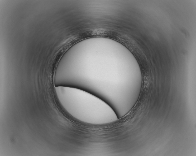 X0000113160648200909040954