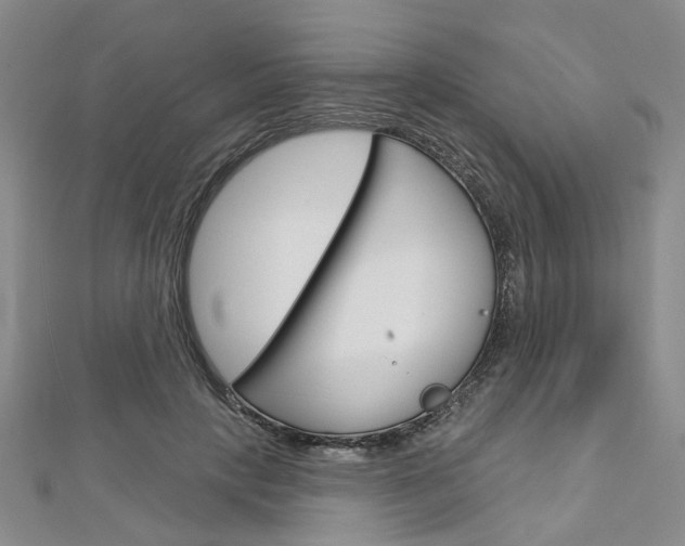 X0000113160649200909040954