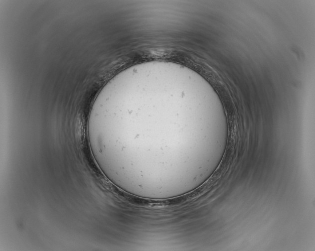 X0000113160651200909040954