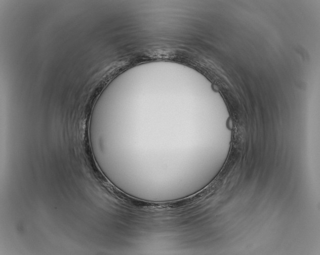 X0000113160652200909040954