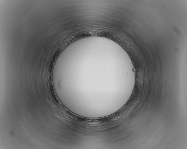 X0000113160653200909040954