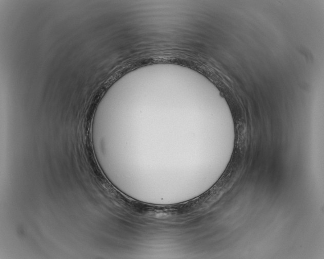 X0000113160655200909040954