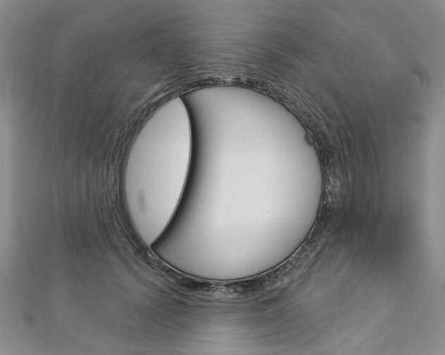 X0000113160656200909040954