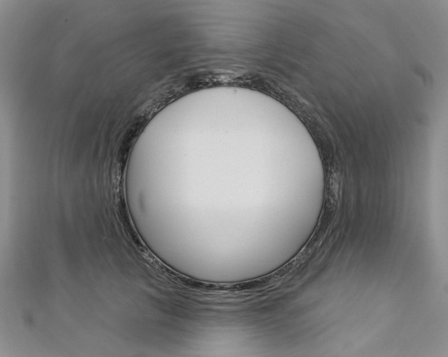 X0000113160657200909040954