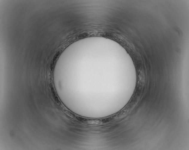 X0000113160659200909040954