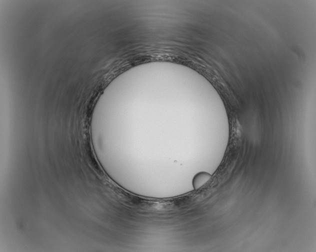 X0000113160663200909040954