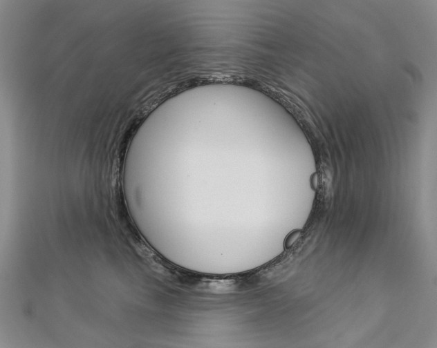 X0000113160665200909040954