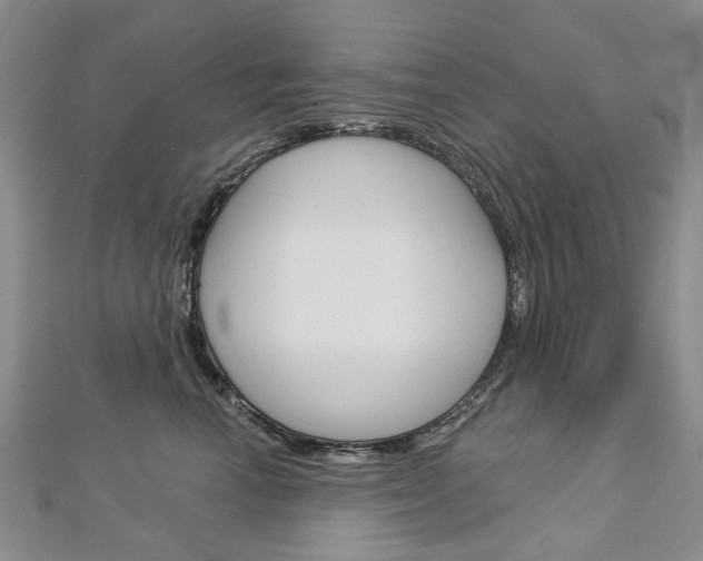 X0000113160666200909040954