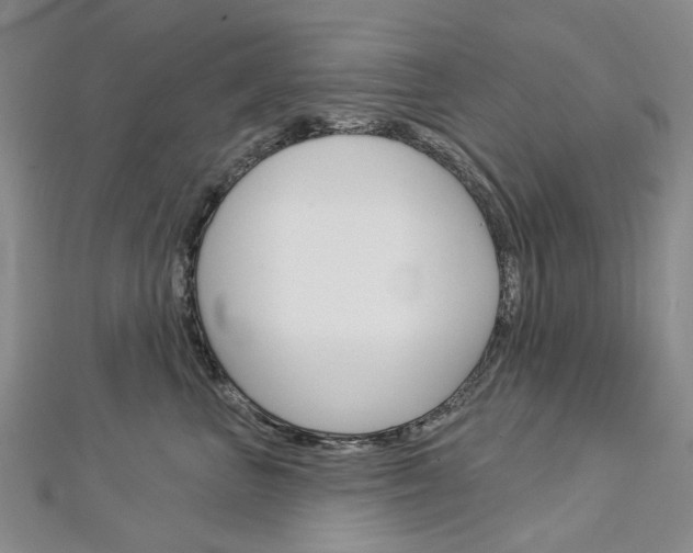 X0000113160667200909040954