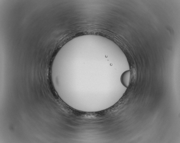 X0000113160668200909040954