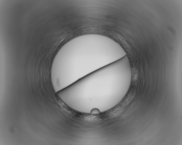 X0000113160669200909040954