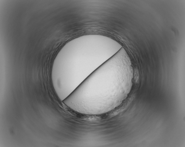 X0000113160670200909040954