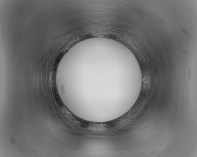 X0000113160671200909040954