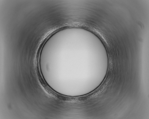 X0000113160674200909040953