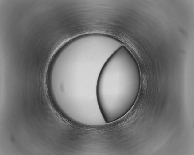 X0000113160676200909040953