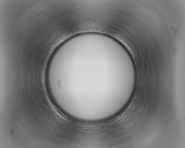 X0000113160677200909040953