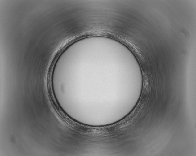 X0000113160678200909040953
