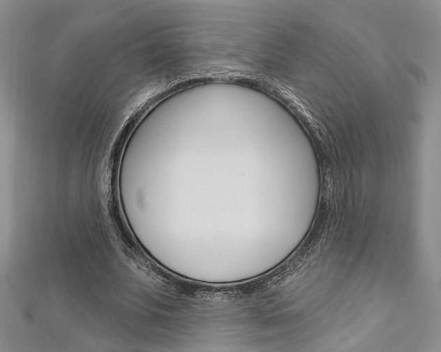X0000113160679200909040953